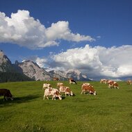 Workshop: Príprava novej agropolitiky a úpravy Strategického plánu